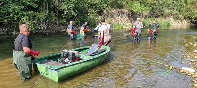 Abfischungen an der Wutach in Kooperation mit der Fischereivereinigung „Oberes Wutachtal Stühlingen e.V.“