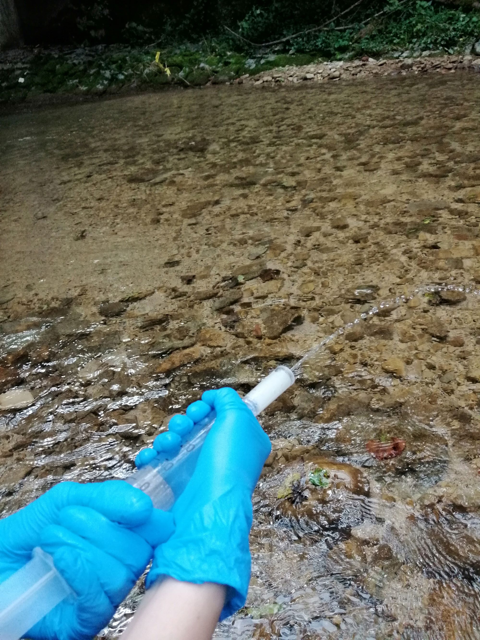 Beprobung von Wasser zum Nachweis von A. astaci