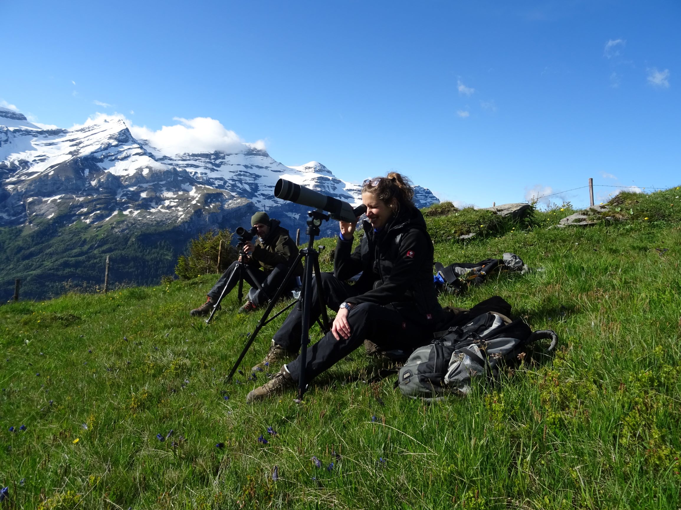 Überwachung der Wildtiergesundheit im Feld