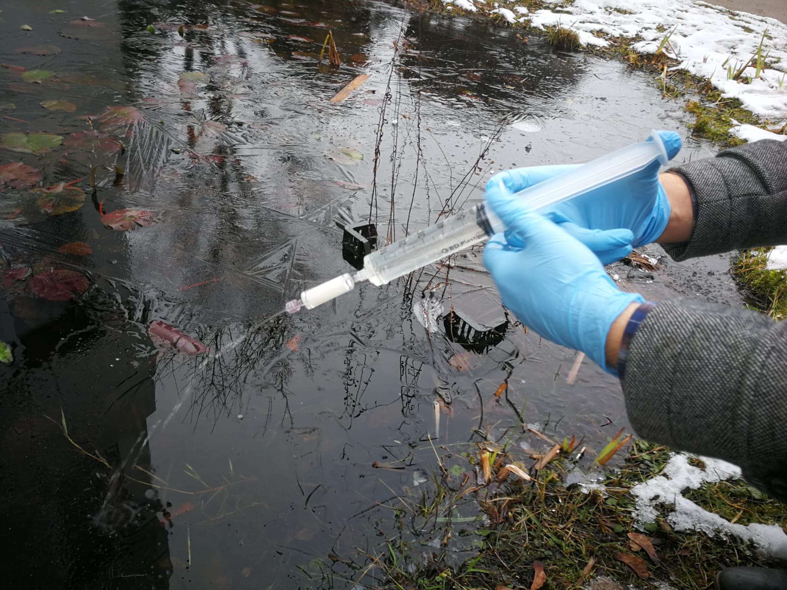 eDNA sampling mit einer einfachen Filter-Spritzen Methode