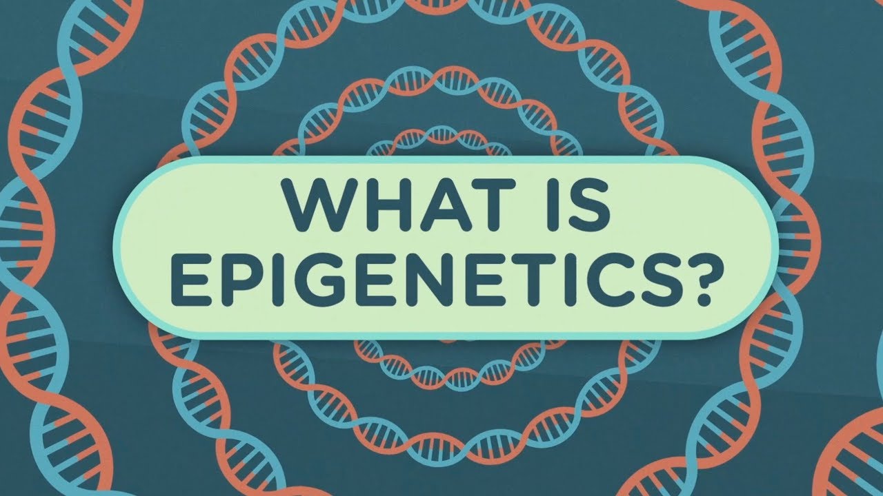 Epigenetic inheritance