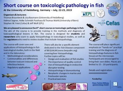 Short course on toxicologic pathology in fish 2019